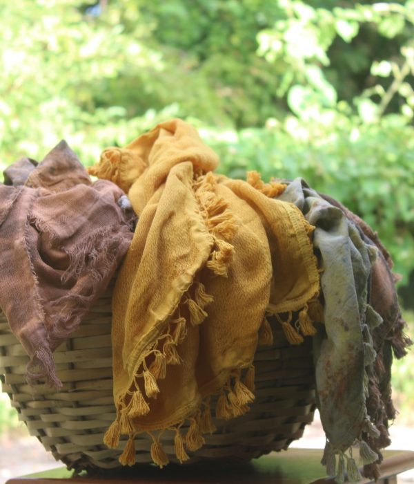 Plantas e Estampas (42)